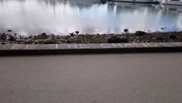 "Be The Change", painted on the Seawall