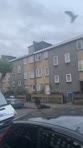 ANTI SEMITIC SEAGULL ATTACK