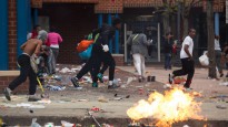 looters crime spree.jpg
